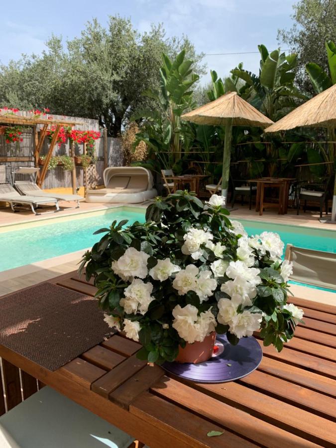 לינה וארוחת בוקר Villa San Pietro L'Oasi Di Franco מראה חיצוני תמונה
